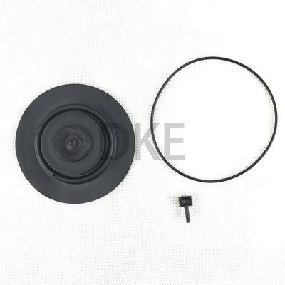Bộ bảo trì van xung Goyen loại K2549 RCAC25 Series T3, DD3, FS3