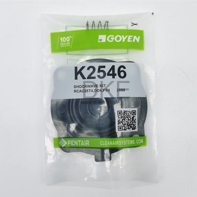 Goyen loại 2546 K2549 Bộ bảo trì van xung RCAC25 Series T3, DD3, FS3,