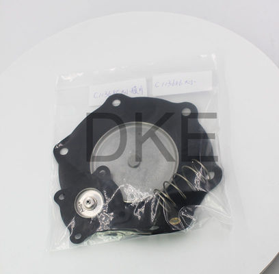 C113685 Ventil điện lực xung cho thiết bị loại bỏ bụi