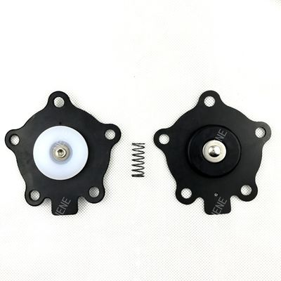 K2003 (M1174B) GOYEN Puls Valve Diaphragm Repair Kit Valve Model RCA20M 8002047