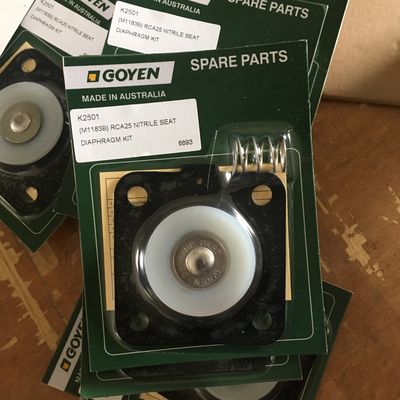 K2501 (M1183B) GOYEN PULSE VAN DIAPHRAGM CA25 RCA25 Valve Model DD, FS, MM, T Series