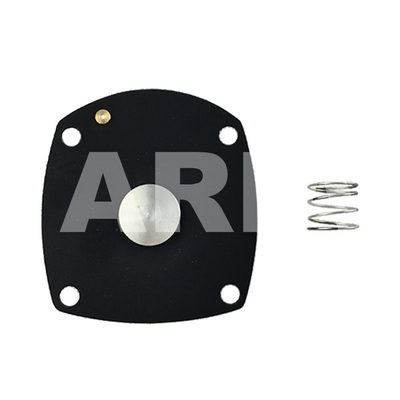 Bộ sửa chữa màng bơm loại TURBO 1'' M25 cho Turbo FP25 FM25