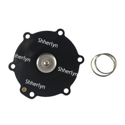 Mecair 2 inch Bộ sửa diaphragm DB116 DB16 VNP216 VEM216 VNP316 VITON tùy chỉnh