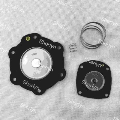 Turbo M40 M25 FP40 FM40 DP40 Bộ sửa chữa rèm van xung điện từ 1,5 inch