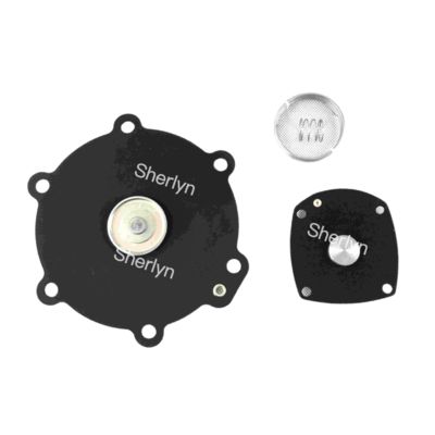 M50 Bộ sửa diaphragm Turbo 2" DN50 FP55 FM55 SQP50 SQM60