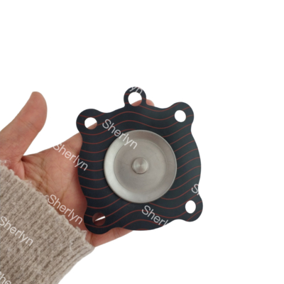 Van ASCO 1 inch màng có hoa văn SC8210D014