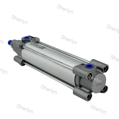 Năng lượng khí nén Norgren Piston RA/802040/M/75