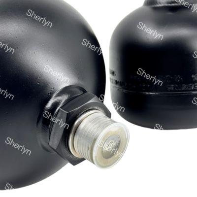 VOE15187036 Volvo Diaphragm Accumulator