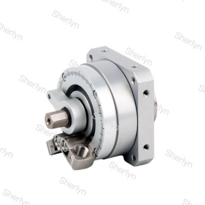 FESTO Rotary Actuator DSM-16-270-P-A-B 547574