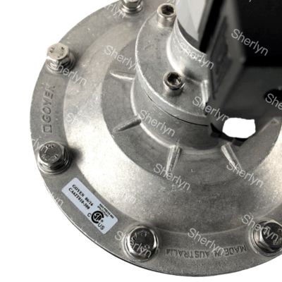 GOYEN Valve xung điện từ CA62T 2 1/2 góc phải