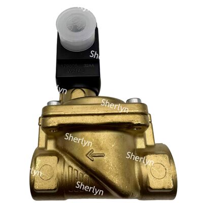 Van điện từ Burkert NBR Seal 3/4 00221937 DC24V