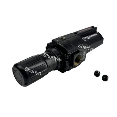 Bộ lọc điều chỉnh áp suất B74G Series B74G-4GK-AP1-RMN NORGREN 1/2 "cổng ISO G