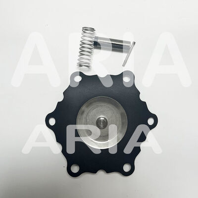 Bộ sửa chữa ASCO K302284 K302383 Đối với SCE210D022 8210G022 van điện tử, 1-1/2 "DN40 Phân kính phụ tùng