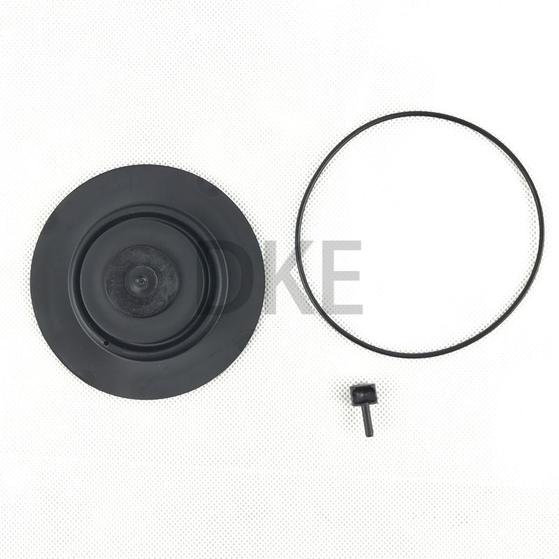 Bộ bảo trì van xung Goyen loại K2549 RCAC25 Series T3, DD3, FS3