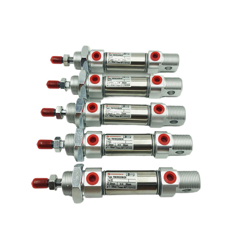 NORGREN Hoạt động Máy bơm nam châm xi lanh hoạt động đôi RM/8012/M/250 cho các ứng dụng khác nhau