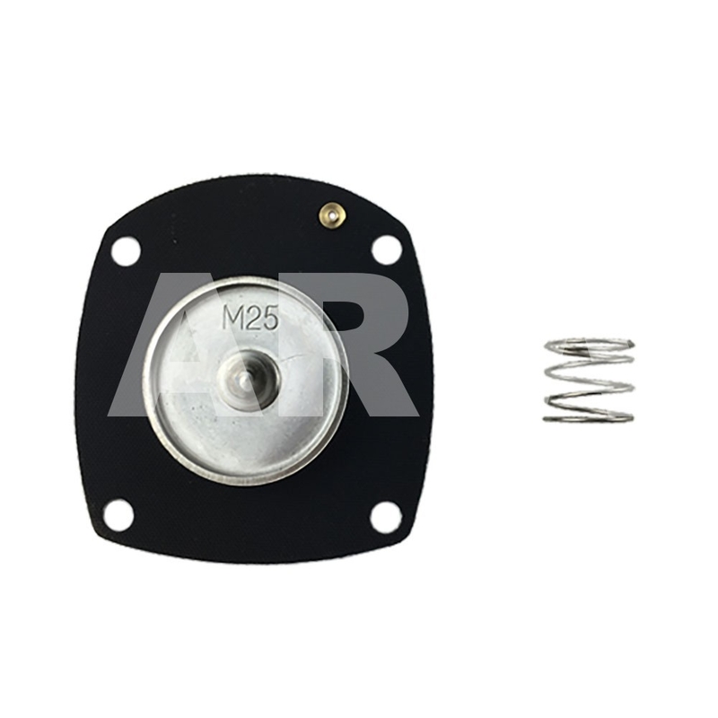 Bộ sửa chữa màng bơm loại TURBO 1'' M25 cho Turbo FP25 FM25