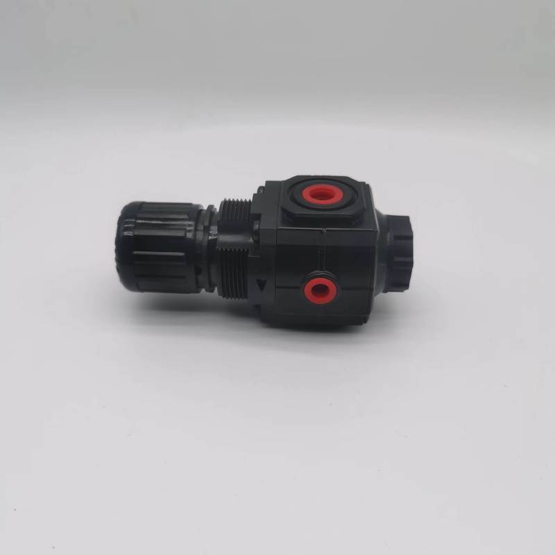 R73G-2BK-RMN Excelon Máy điều chỉnh áp suất mục đích chung G1/4 0.3-10 Bar Không có Gauge NORGREN
