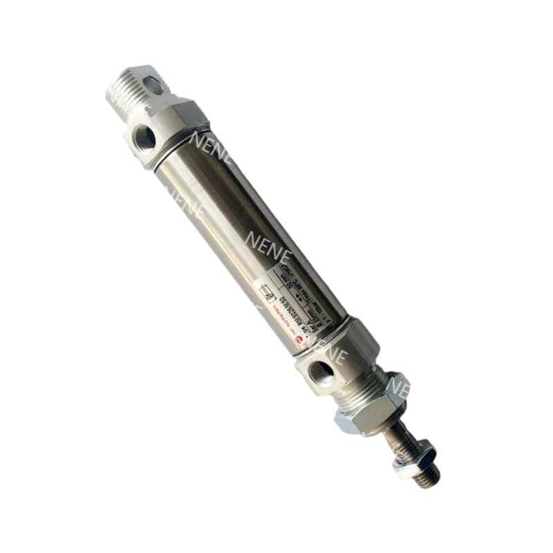 RM/28012/160 Công suất hạng nặng Khám Ø12mm 160mm Stroke Roundline Cylinder IMI NORGREN Reed Switch tương thích