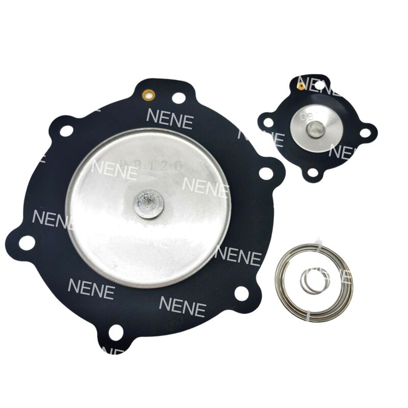 FKM/Viton Phân kính DB120 DB16 3'' Phân kính sửa chữa thiết bị van phun xung Mecair 2,5 inch VNP220 VEM220 VNP420 VEM420 VNP424 VEM424 VNP620 VEM620 VNP720 VEM720